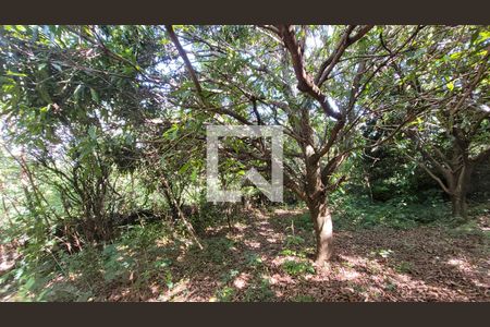 Casa de condomínio à venda com 400m², 5 quartos e 4 vagas Casa de condomínio à venda com 400m², 5 quartos e 4 vagasÁrea Externa