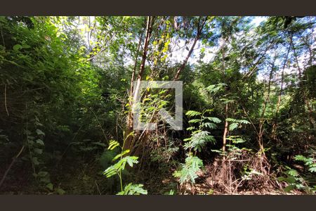 Casa de condomínio à venda com 400m², 5 quartos e 4 vagas Casa de condomínio à venda com 400m², 5 quartos e 4 vagasÁrea Externa