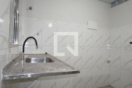 Cozinha de apartamento para alugar com 1 quarto, 45m² em Condomínio Mini-chácaras, Brasília