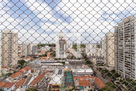 Varanda da Sala - Vista  de apartamento à venda com 2 quartos, 113m² em Ipiranga, São Paulo