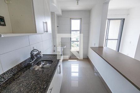 Cozinha de apartamento à venda com 2 quartos, 60m² em Santa Amelia, Belo Horizonte