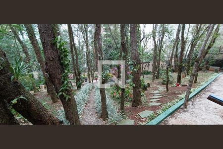 Bosque de apartamento para alugar com 2 quartos, 50m² em Jardim Ampliacao, São Paulo