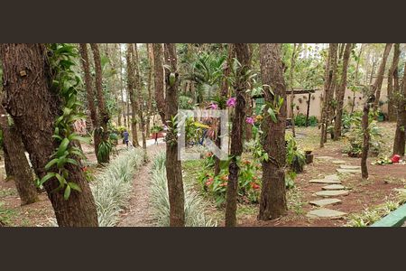 Bosque de apartamento para alugar com 2 quartos, 50m² em Jardim Ampliacao, São Paulo