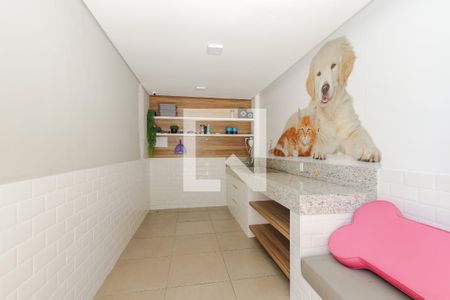 Área comum - Pet Care de apartamento para alugar com 1 quarto, 26m² em Jardim Caravelas, São Paulo