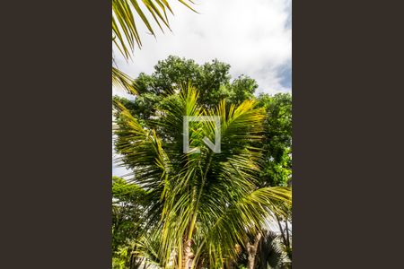 Casa de condomínio à venda com 575m², 4 quartos e 6 vagas Casa de condomínio à venda com 575m², 4 quartos e 6 vagasVista