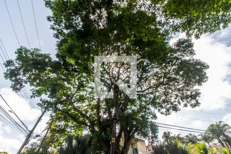 Casa de condomínio à venda com 575m², 4 quartos e 6 vagas Casa de condomínio à venda com 575m², 4 quartos e 6 vagasDetalhe