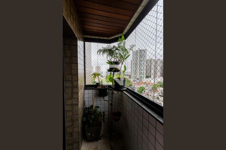 Varanda da Sala de apartamento para alugar com 3 quartos, 97m² em Campestre, Santo André