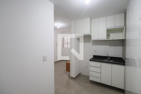 Cozinha de apartamento para alugar com 1 quarto, 30m² em Vila Esperança, São Paulo