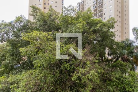 Vista do Quarto 1 de apartamento para alugar com 2 quartos, 60m² em Picanço, Guarulhos