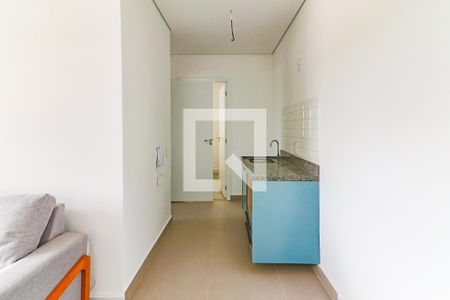 Cozinha de apartamento para alugar com 1 quarto, 33m² em Butantã, São Paulo