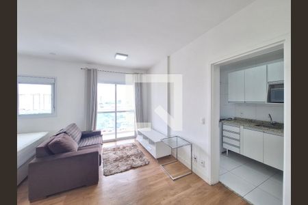 Sala/Quarto de apartamento para alugar com 1 quarto, 41m² em Várzea da Barra Funda, São Paulo