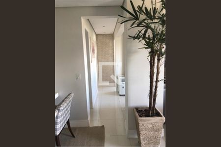 Apartamento à venda com 3 quartos, 64m² em Casa Verde, São Paulo