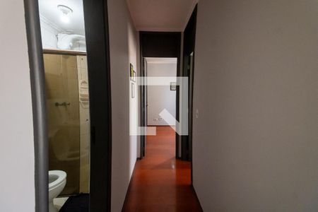 Corredor de apartamento para alugar com 2 quartos, 50m² em Vila Antonieta, São Paulo