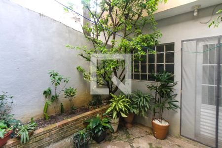 Quintal de casa para alugar com 1 quarto, 50m² em Jardim Teresa, São Paulo