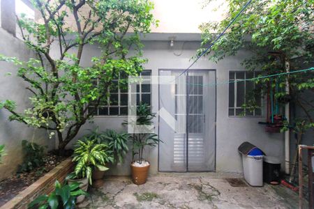 Quintal de casa para alugar com 1 quarto, 50m² em Jardim Teresa, São Paulo