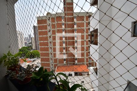 Sala - Vista de apartamento à venda com 3 quartos, 119m² em Cambuí, Campinas