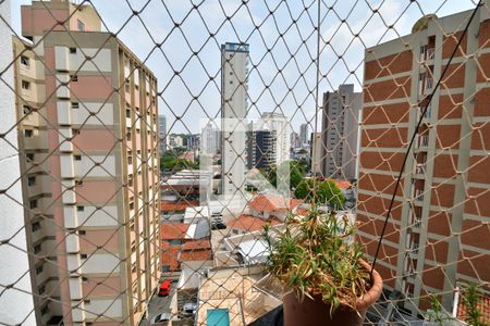 Quarto 1 - Vista de apartamento à venda com 3 quartos, 119m² em Cambuí, Campinas