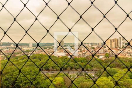 Vista do Quarto 1 de apartamento para alugar com 3 quartos, 102m² em Vila Monte Alegre, São Paulo