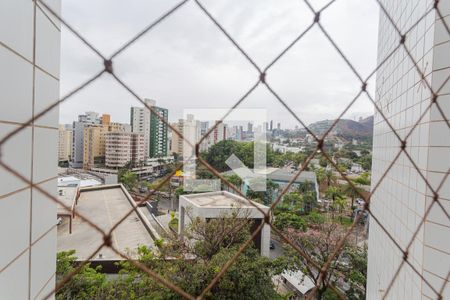 Vista da Varanda da Sala de apartamento para alugar com 1 quarto, 60m² em Buritis, Belo Horizonte