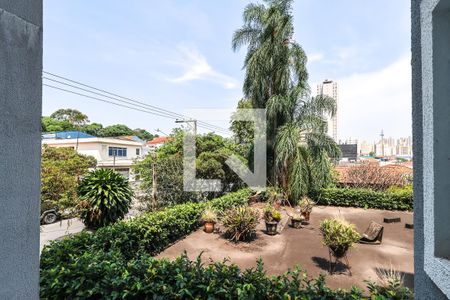 Sala e Cozinha de apartamento para alugar com 2 quartos, 38m² em Vila Vera, São Paulo