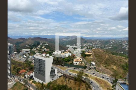 Vista de apartamento para alugar com 1 quarto, 53m² em Vila da Serra, Nova Lima