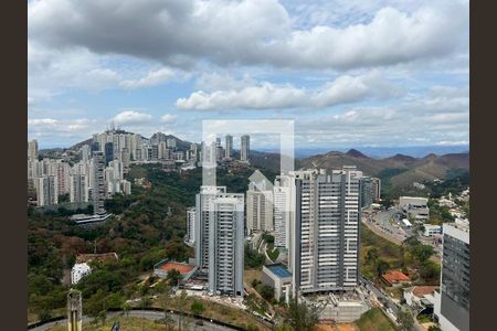 Vista de apartamento para alugar com 1 quarto, 53m² em Vila da Serra, Nova Lima