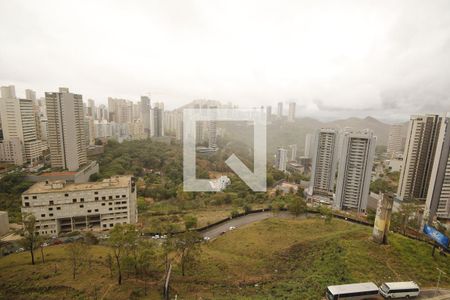 vista de apartamento para alugar com 1 quarto, 65m² em Vila da Serra, Nova Lima