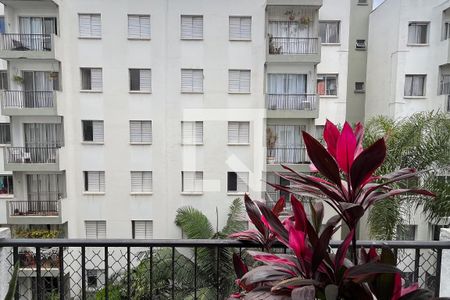 Vista Sacada de apartamento para alugar com 2 quartos, 50m² em Boaçava, São Paulo