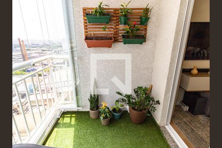 Varanda de apartamento à venda com 2 quartos, 57m² em Belenzinho, São Paulo