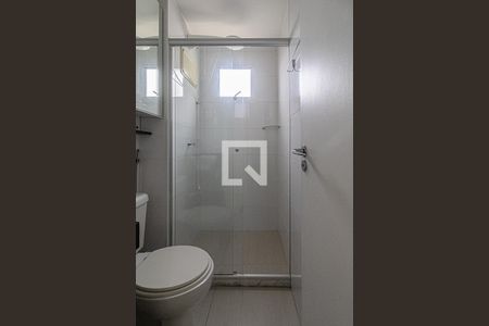 banheiro social de apartamento para alugar com 2 quartos, 47m² em Sacoma, São Paulo