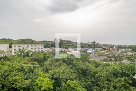 Vista de apartamento para alugar com 2 quartos, 40m² em Cavalhada, Porto Alegre