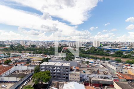 Vista - Varanda de apartamento à venda com 3 quartos, 66m² em Alto do Pari, São Paulo