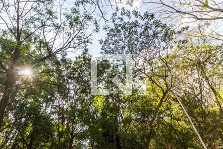 Apartamento à venda com 97m², 3 quartos e 2 vagas Apartamento à venda com 97m², 3 quartos e 2 vagasParque