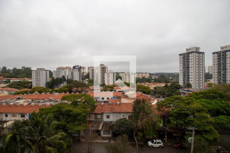 Apartamento para alugar com 3 quartos, 73m² em Jardim Ester, São Paulo