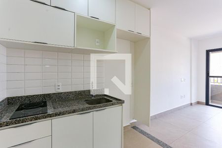 Cozinha de apartamento para alugar com 1 quarto, 29m² em Butantã, São Paulo