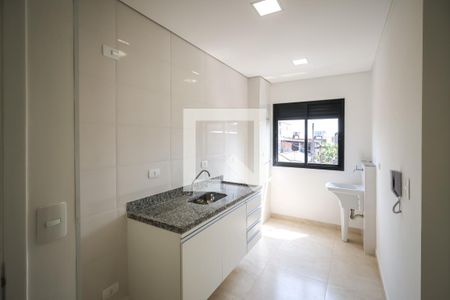 Cozinha de apartamento para alugar com 1 quarto, 32m² em Vila das Mercês, São Paulo