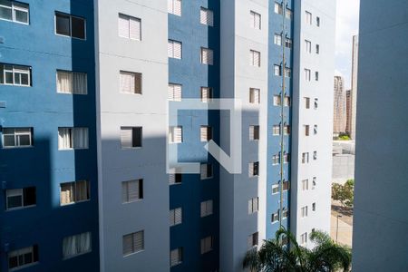 Vista do Quarto de apartamento para alugar com 2 quartos, 50m² em Parque Campolim, Sorocaba