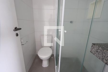 Banheiro de apartamento para alugar com 1 quarto, 30m² em Quinta da Paineira, São Paulo