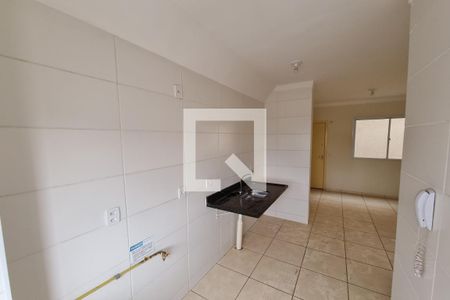 Cozinha - Lavanderia de apartamento para alugar com 2 quartos, 50m² em Valentina Figueiredo, Ribeirão Preto