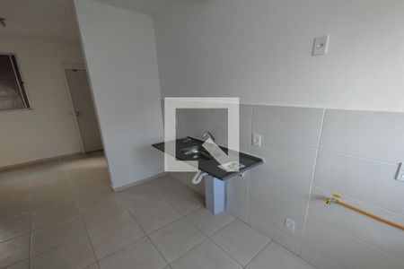 Cozinha de apartamento para alugar com 2 quartos, 45m² em Jardim Emília, Ribeirão Preto