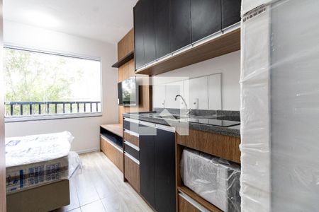 Cozinha de apartamento para alugar com 1 quarto, 18m² em Vila Moraes, São Paulo