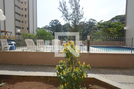 Vista da Sala de apartamento para alugar com 3 quartos, 68m² em Jardim Taquaral, São Paulo