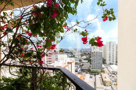 Sala de apartamento à venda com 2 quartos, 78m² em Vila Hamburguesa, São Paulo