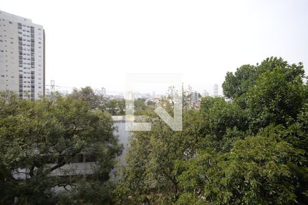 Vista/Sacada de apartamento para alugar com 2 quartos, 32m² em Ipiranga, São Paulo