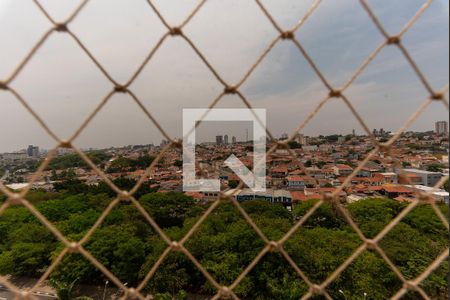 Vista da Sala de apartamento para alugar com 2 quartos, 52m² em Jardim Nova Europa, Campinas