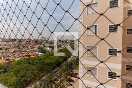 Vista da Suíte de apartamento para alugar com 2 quartos, 52m² em Jardim Nova Europa, Campinas