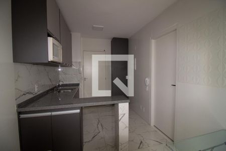 Cozinha de apartamento para alugar com 1 quarto, 24m² em Butantã, São Paulo