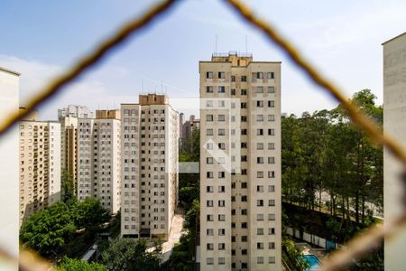 Vista/Sala de apartamento para alugar com 3 quartos, 70m² em Vila Andrade, São Paulo