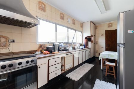 Casa para alugar com 400m², 5 quartos e 5 vagas Casa para alugar com 400m², 5 quartos e 5 vagasCozinha