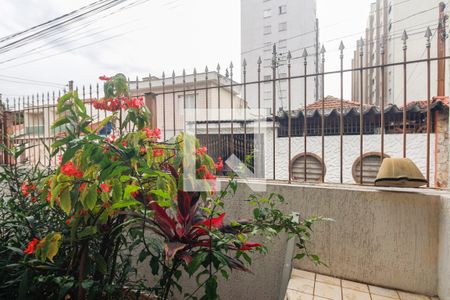 Sala - Vista  de casa para alugar com 1 quarto, 60m² em Chácara Santo Antônio (zona Leste), São Paulo